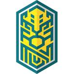 德扬FC