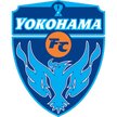山形山神